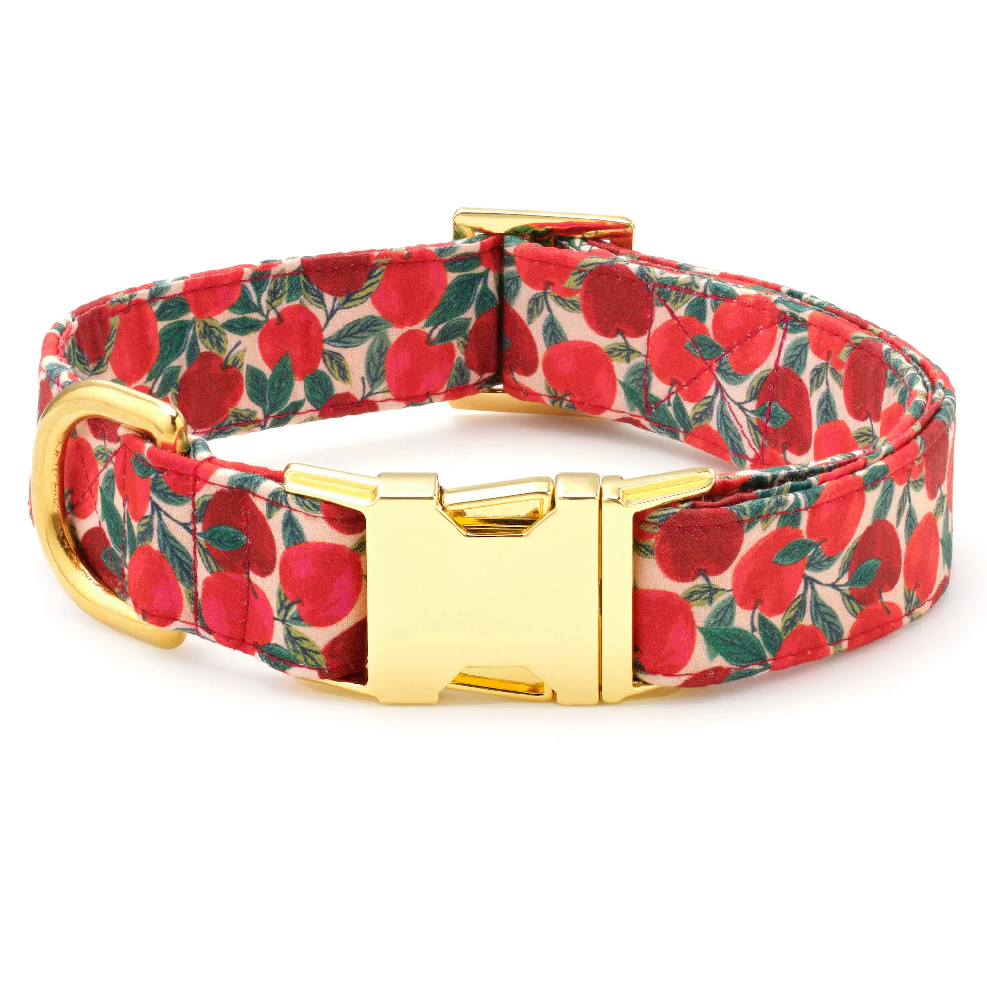 Apple of My Eye Dog Collar