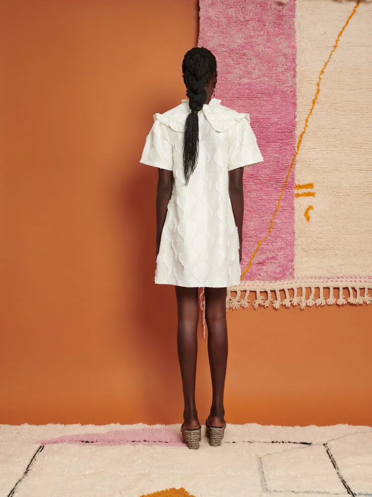 Barb Textured Mini Dress