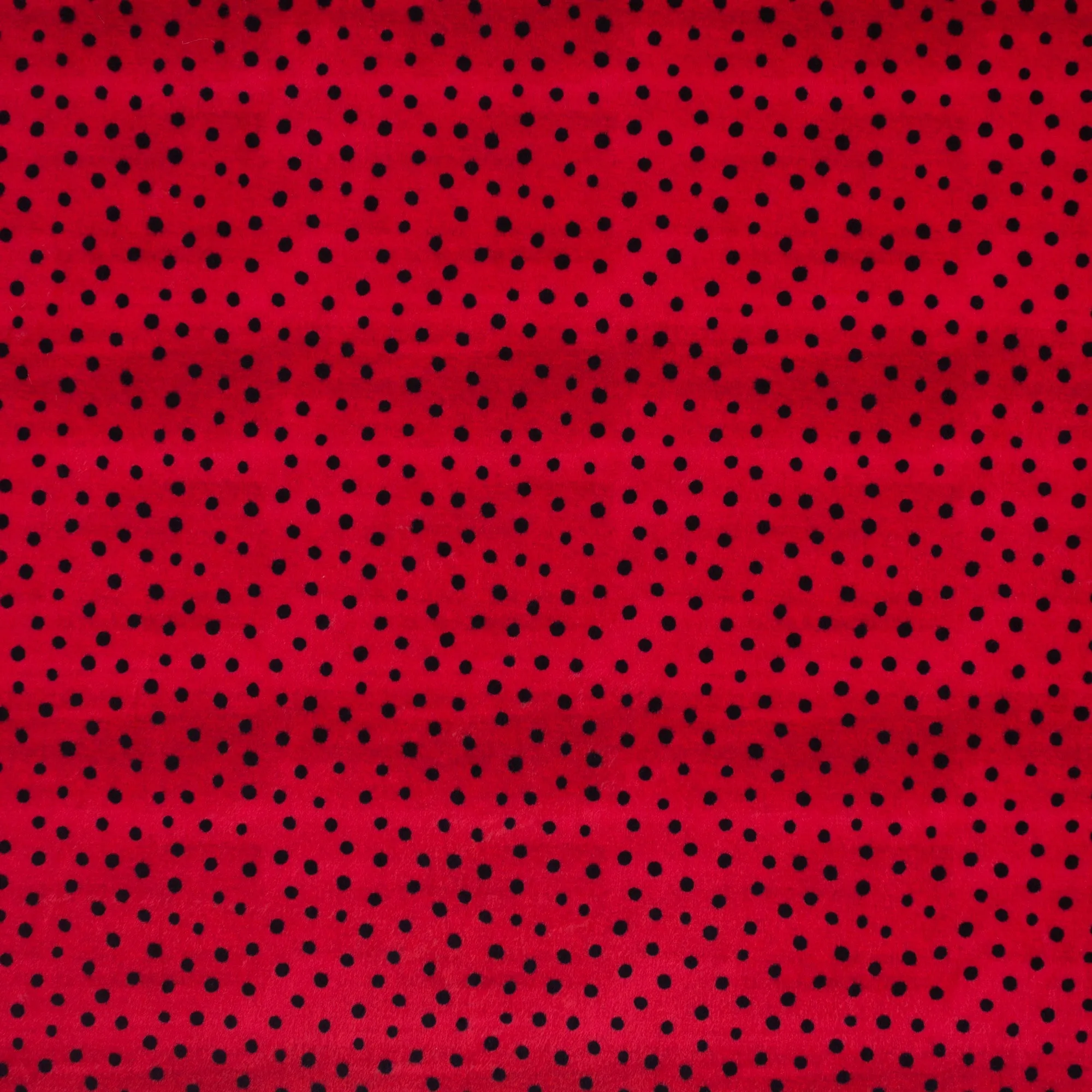 Critter Speckles | Buzzy as a Bug