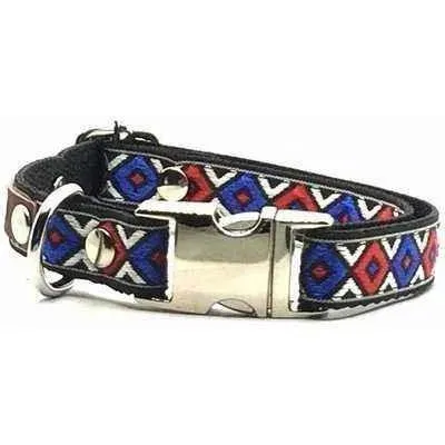 Finnigan's Whimsical Pooch Collar Set