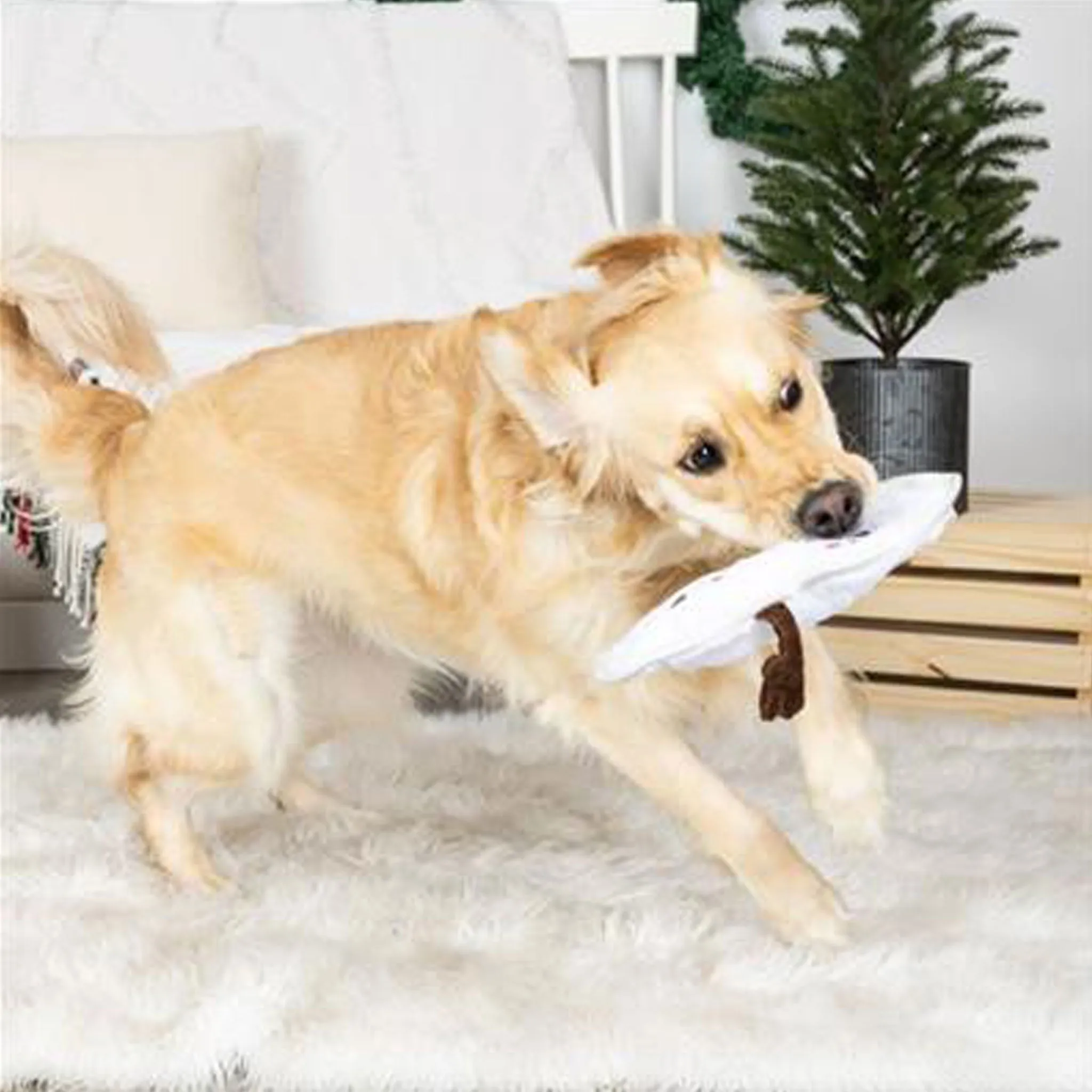 Fringe I'm Melting Dog Toy
