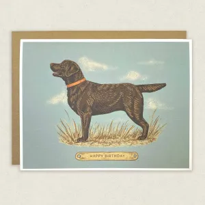 Happy Birthday Chocolate Lab Greeting Card