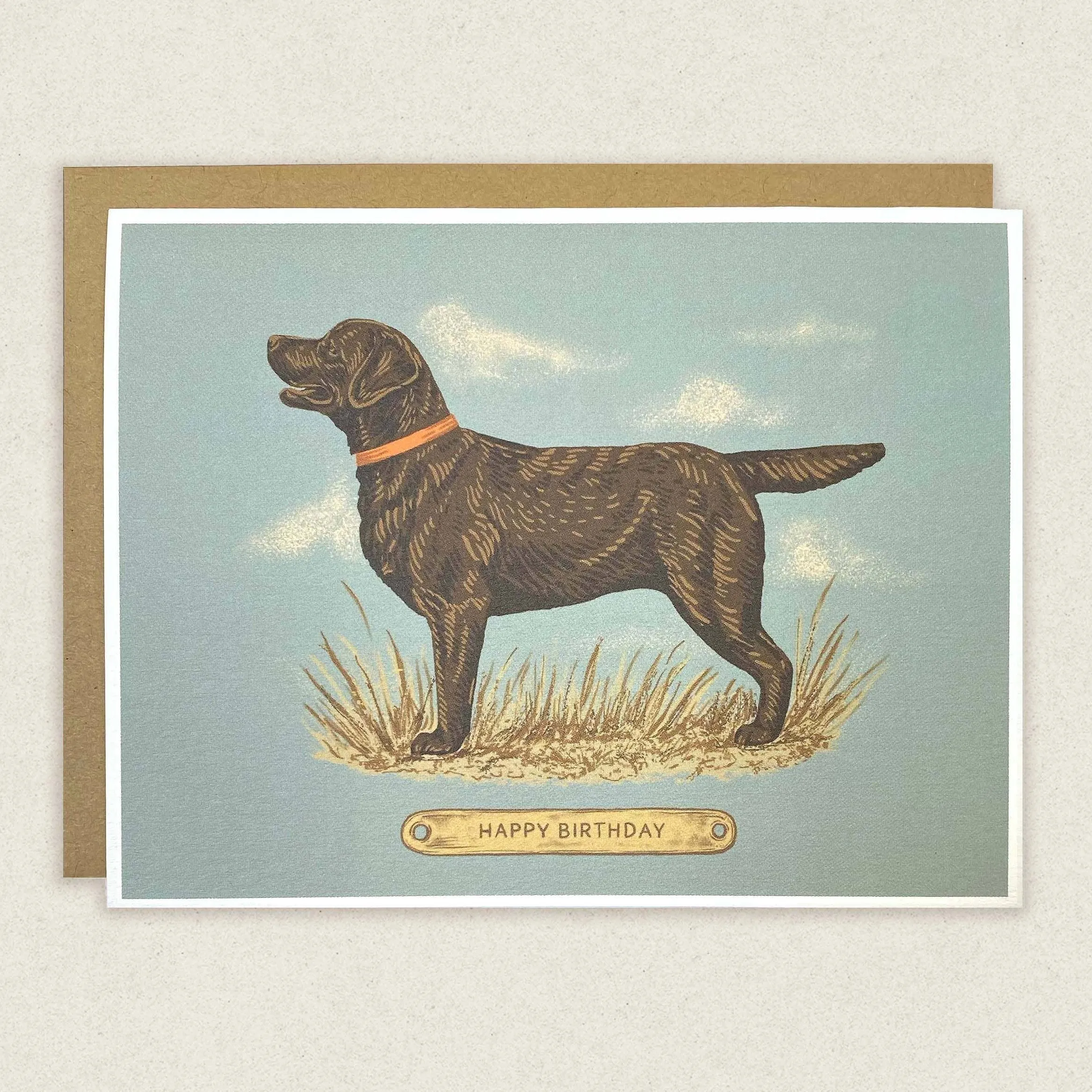 Happy Birthday Chocolate Lab Greeting Card
