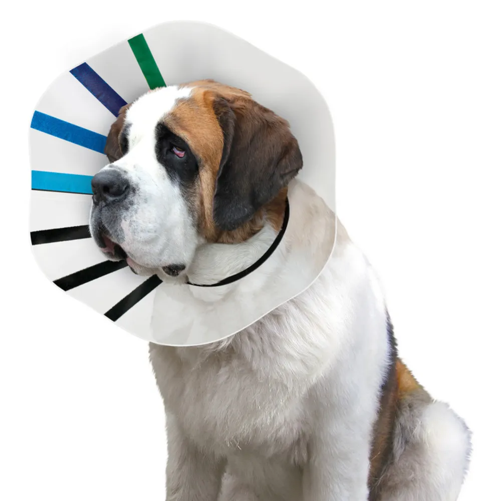 Kong E Collar EZ Clear - Large