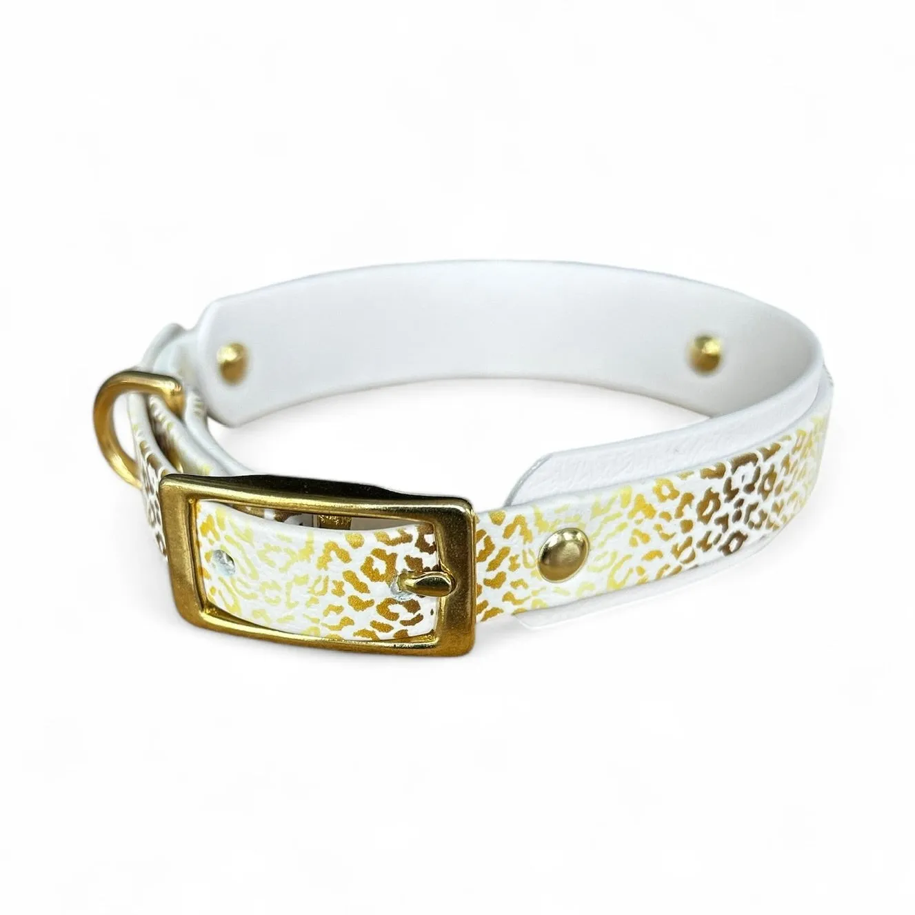 Leo Dog Collar Walk Set