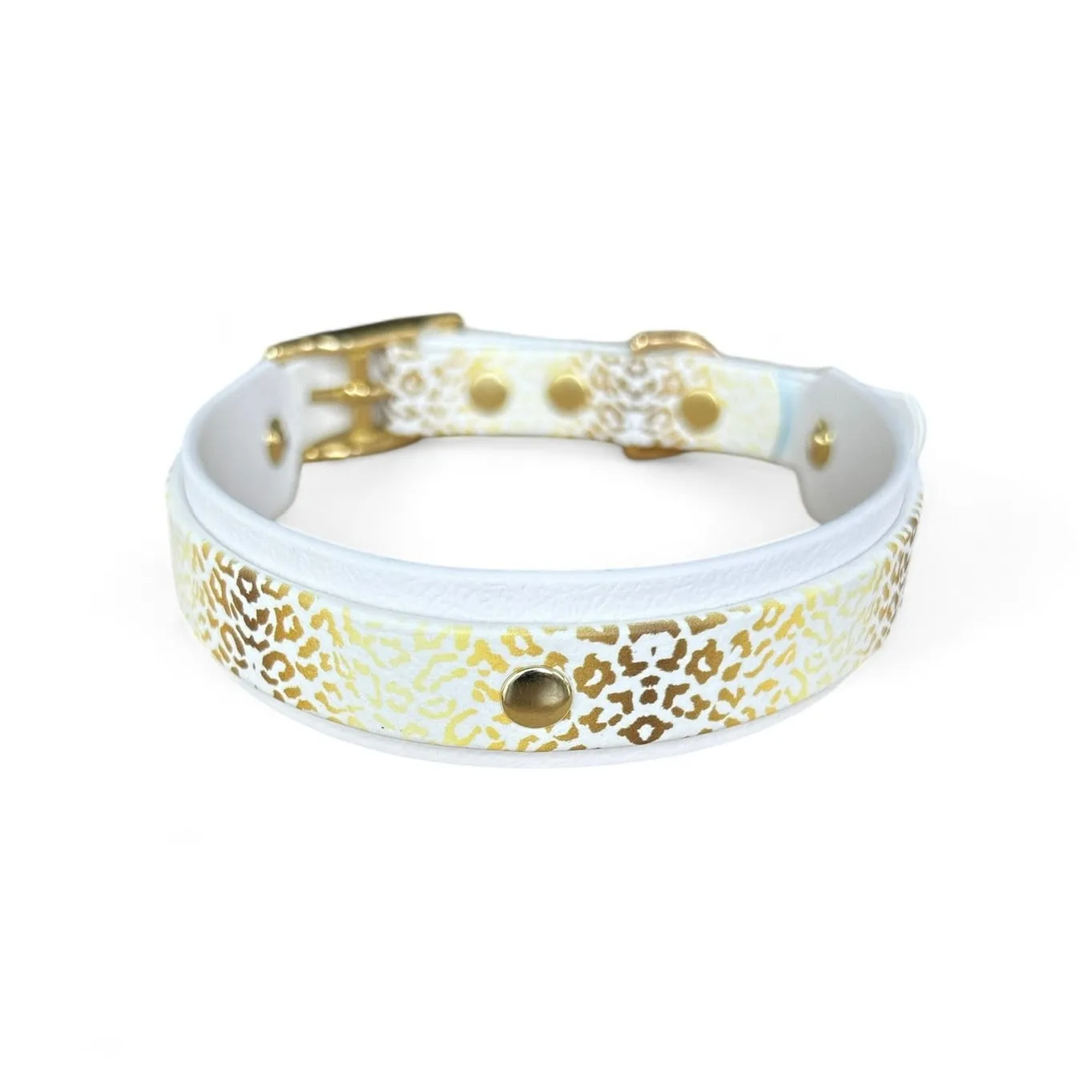 Leo Dog Collar Walk Set