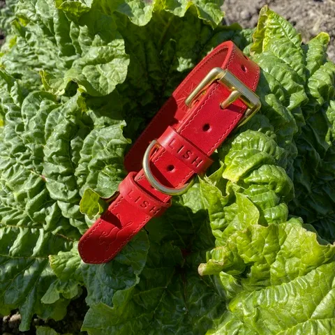 LISH Coopers Cherry Red Italian Leather Dog Collar