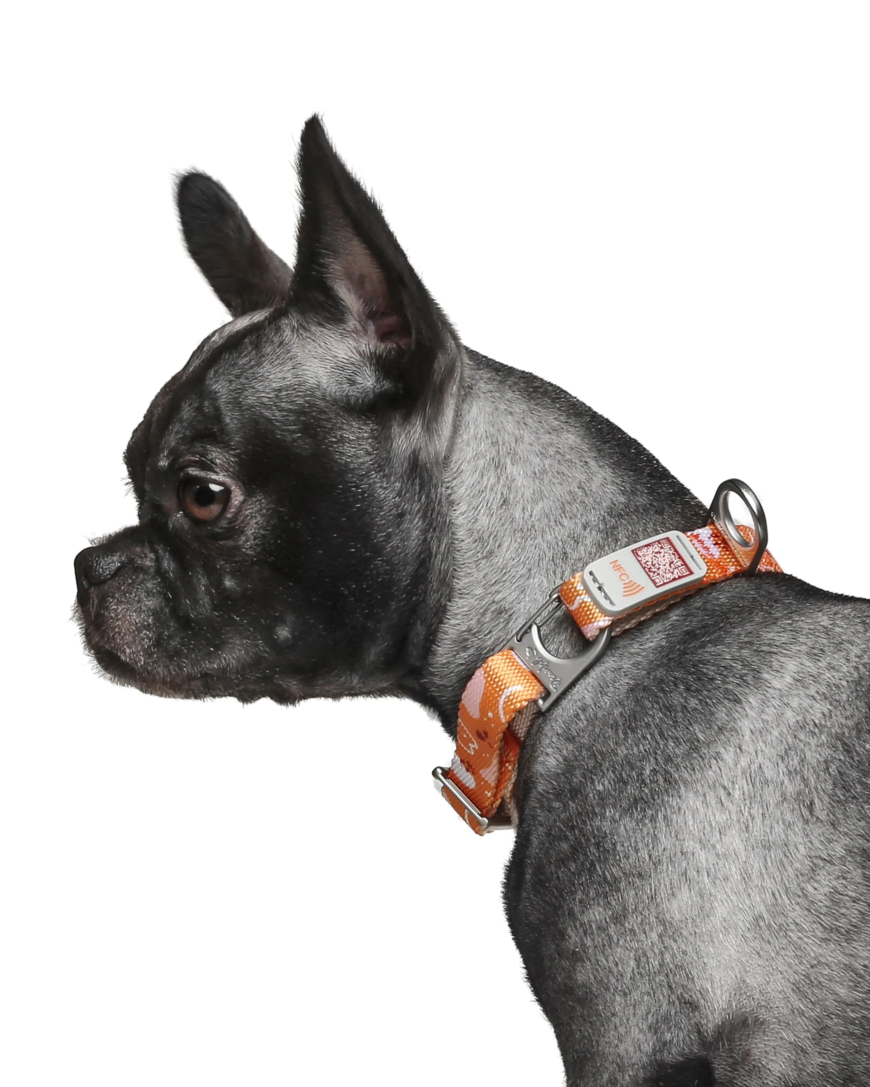 NeoCollar