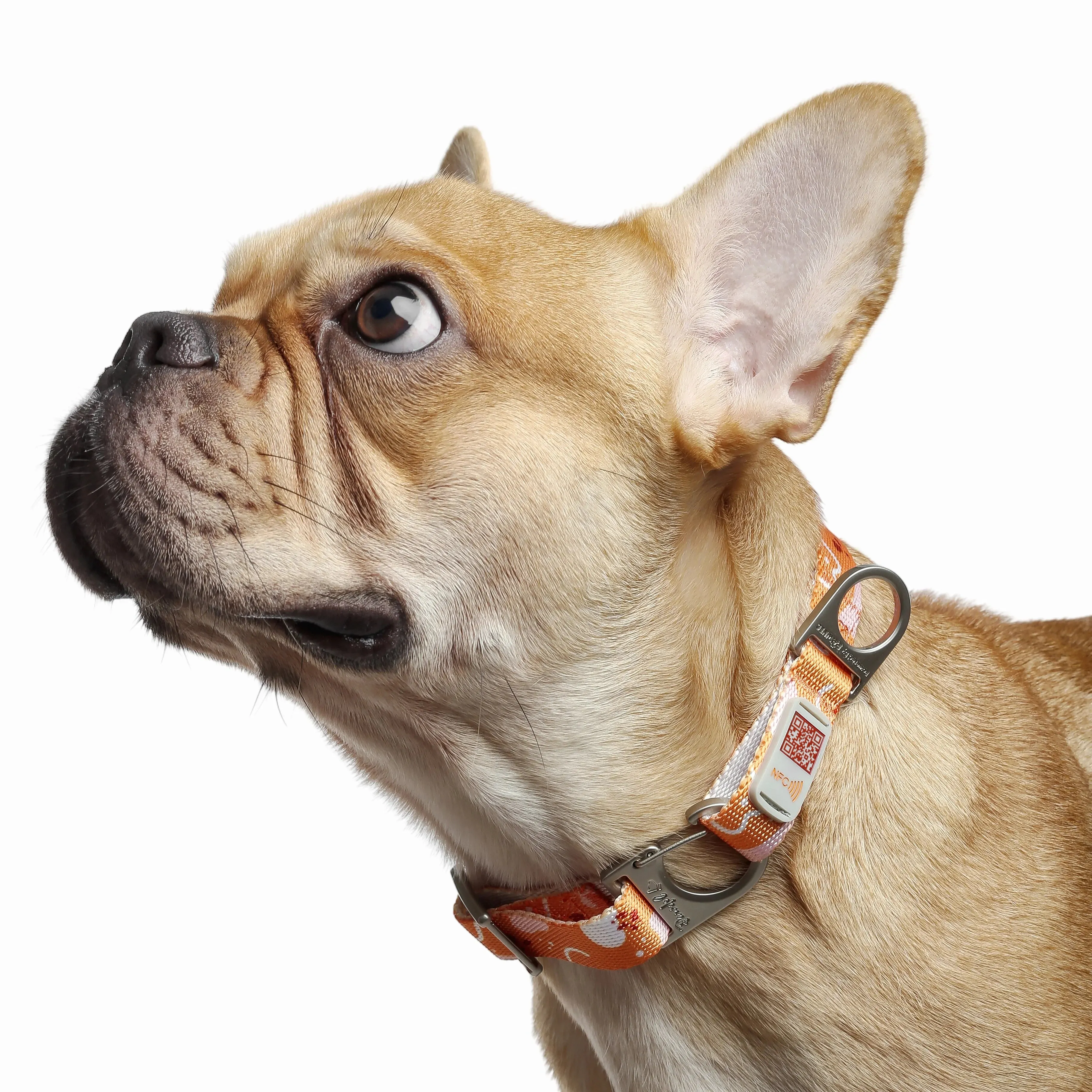 NeoCollar