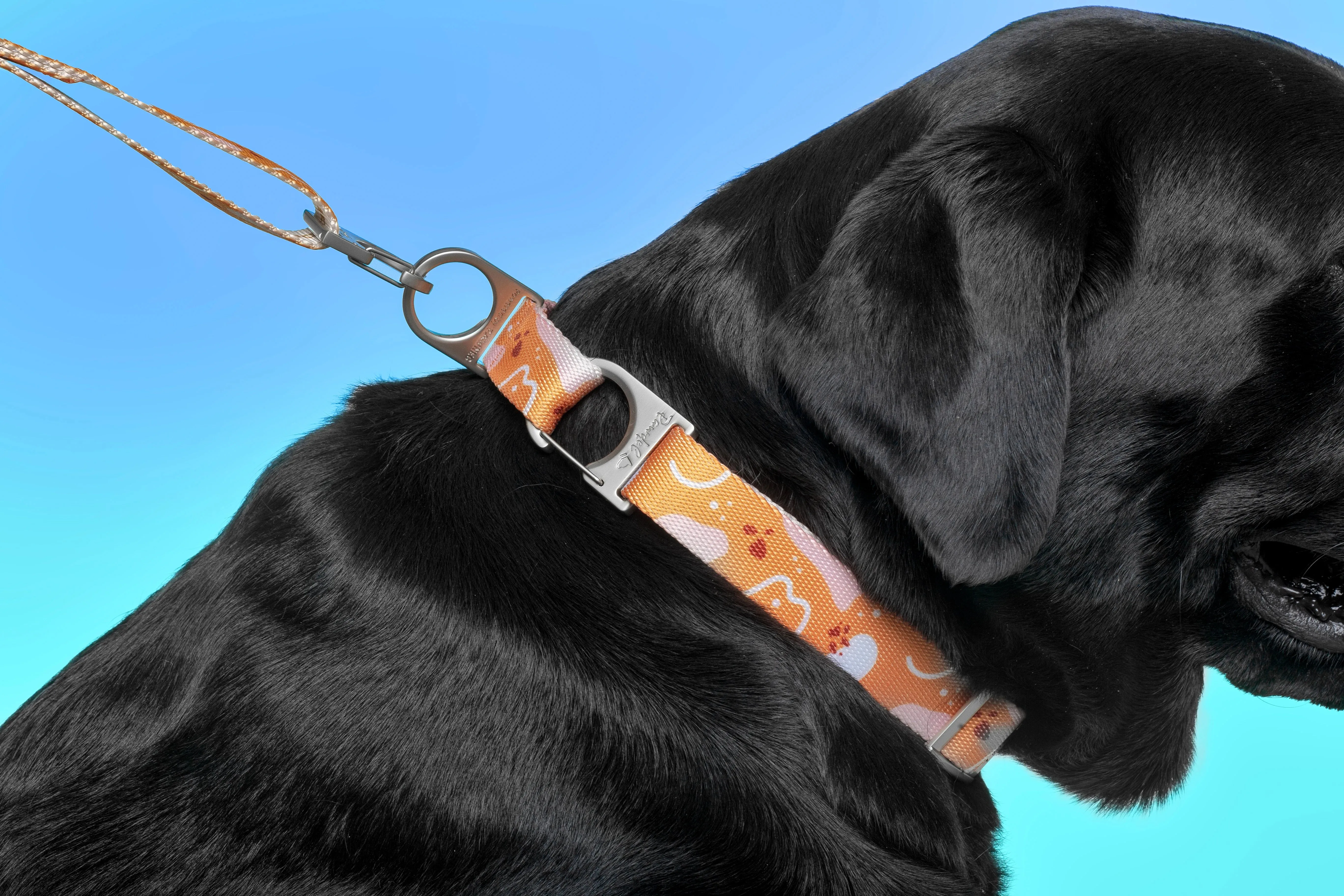 NeoCollar