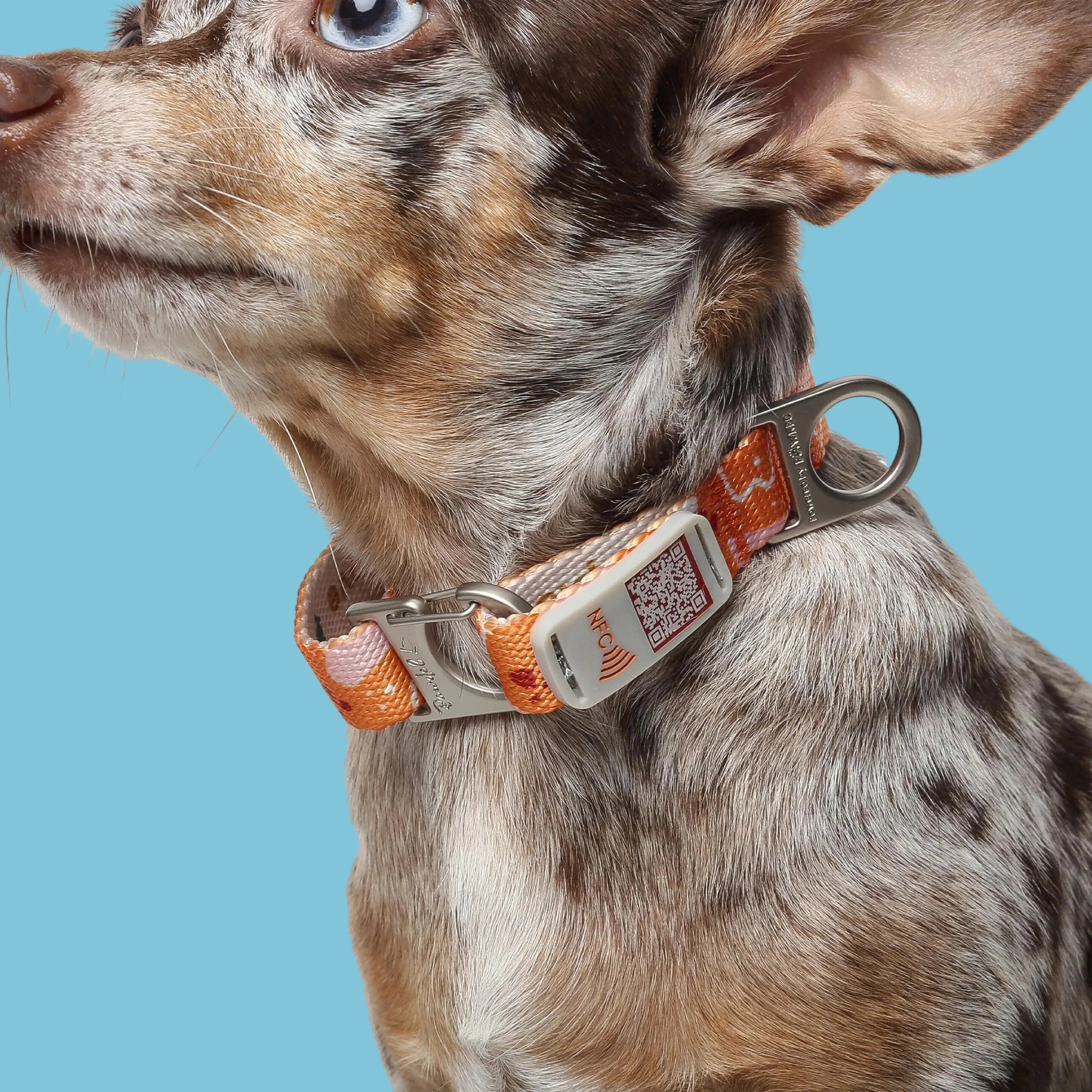 NeoCollar