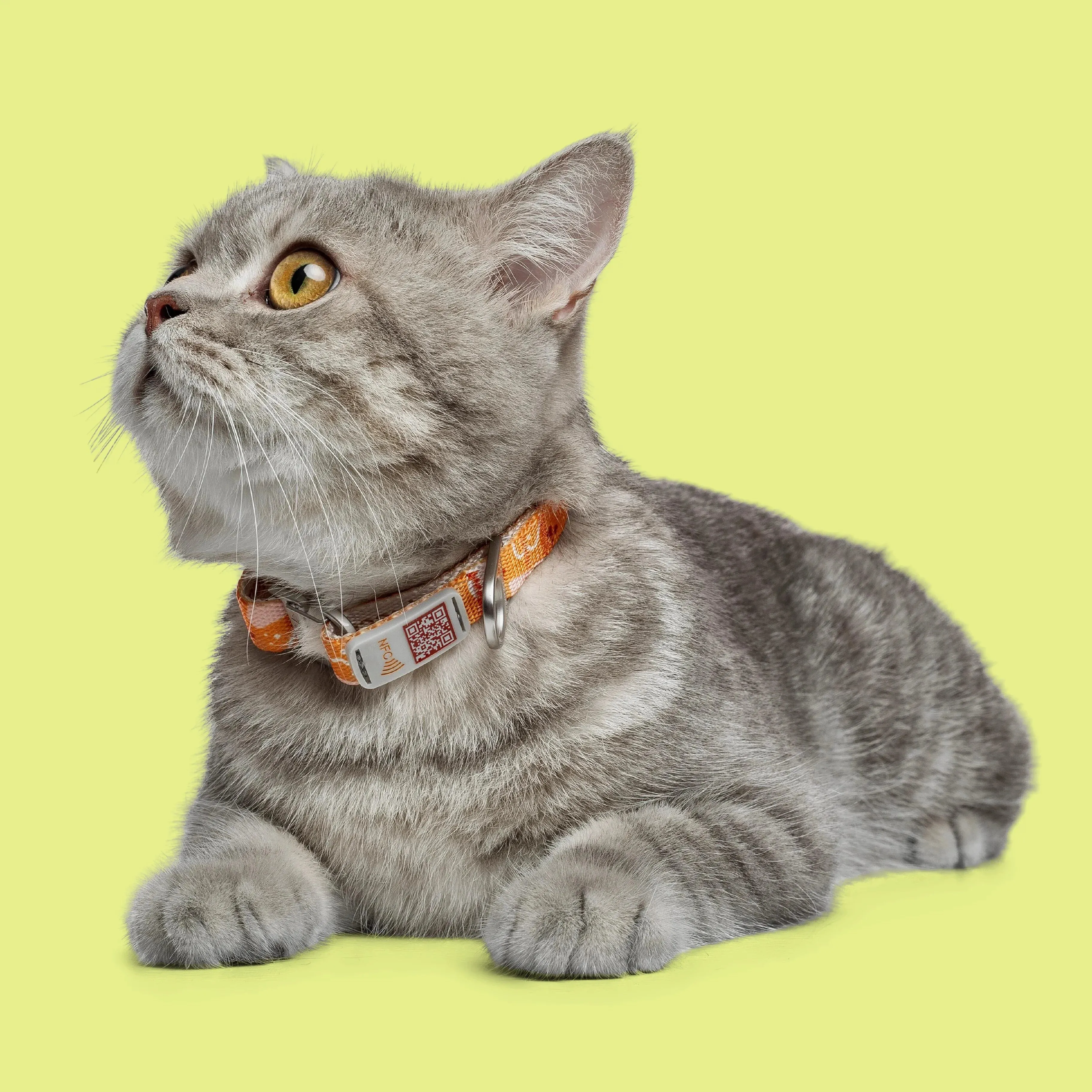 NeoCollar