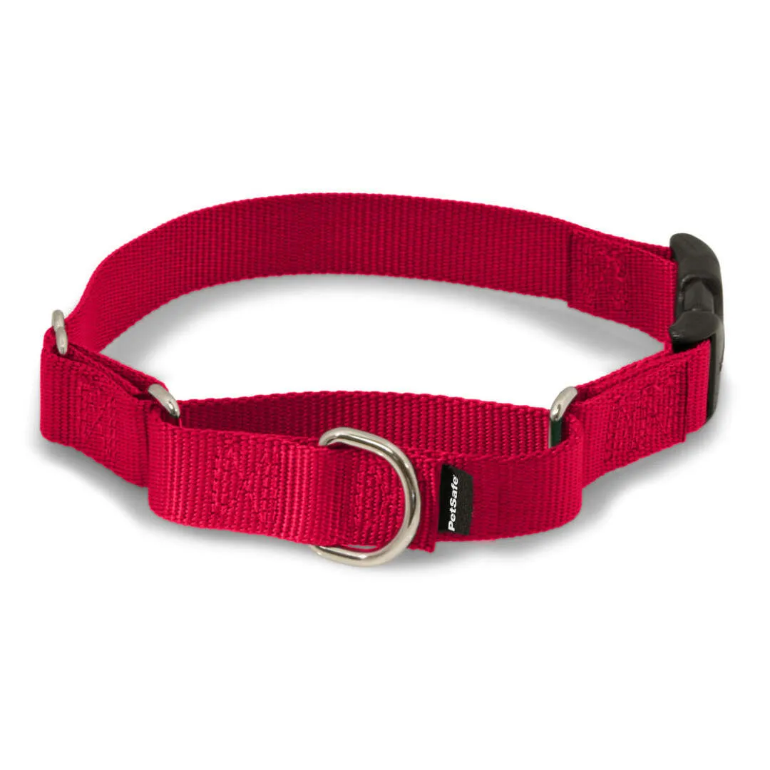 Pet Safe Martingale collar