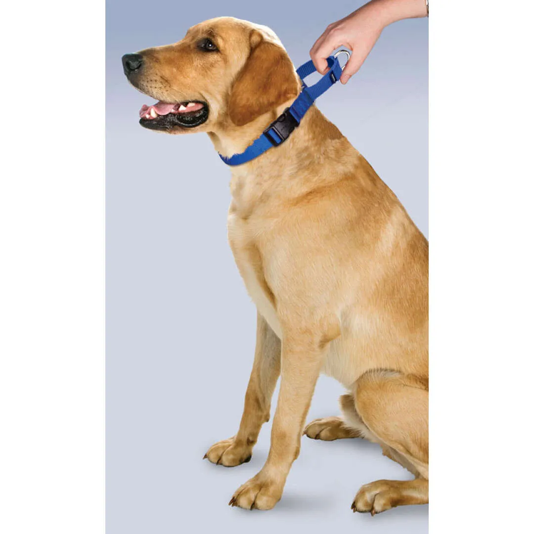 Pet Safe Martingale collar