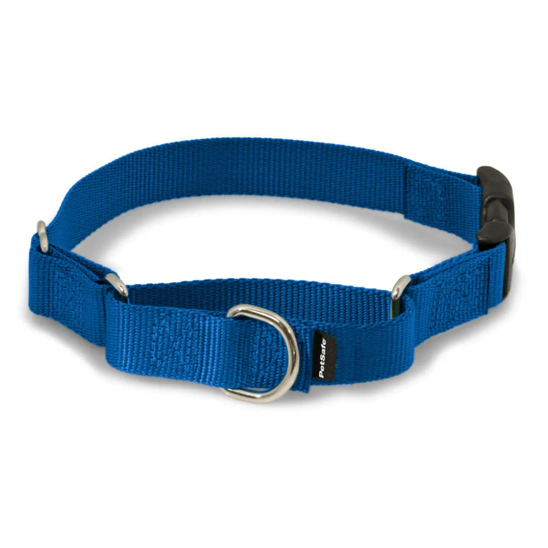 Pet Safe Martingale collar
