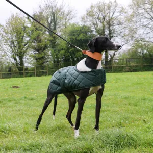 Quilted Hound Coat