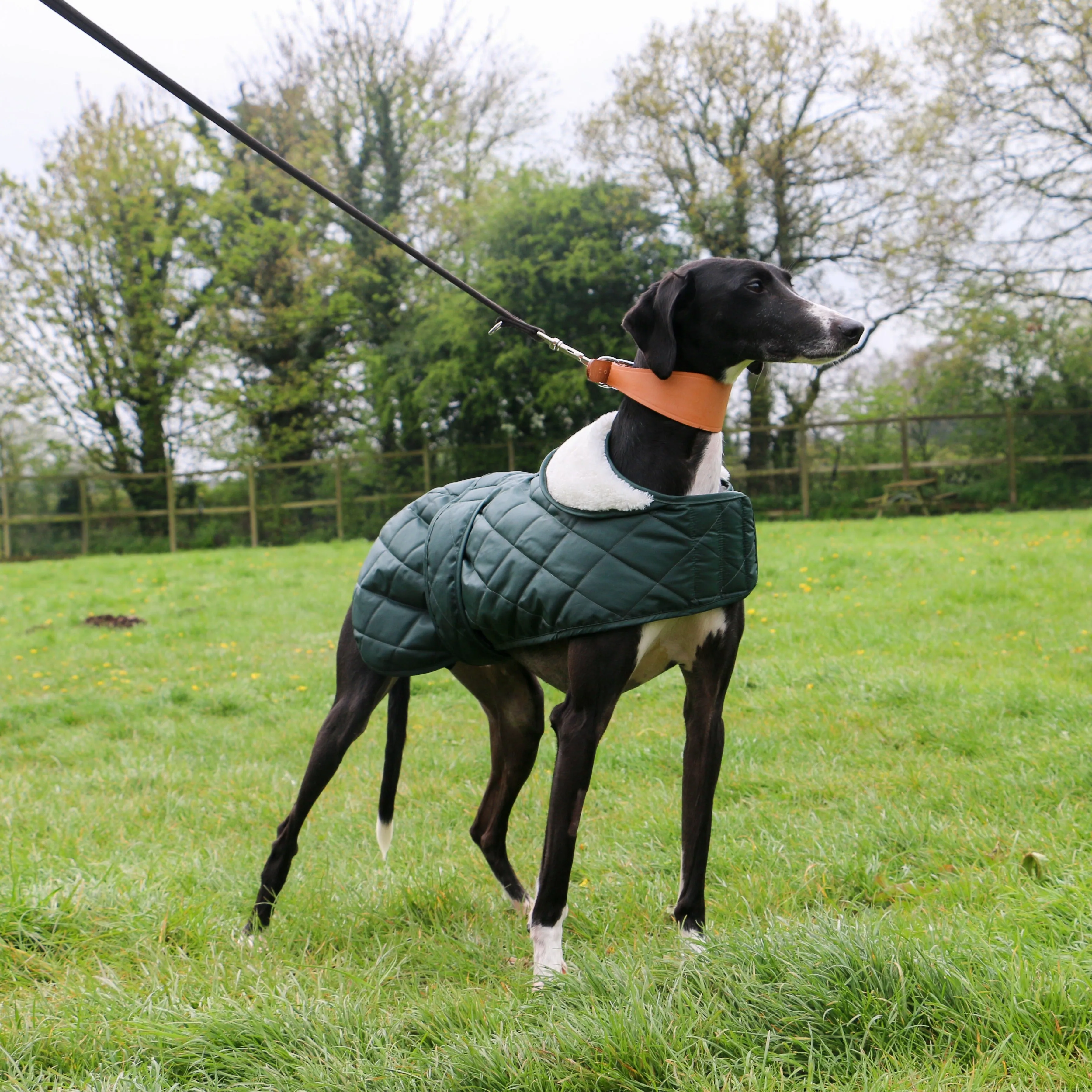 Quilted Hound Coat