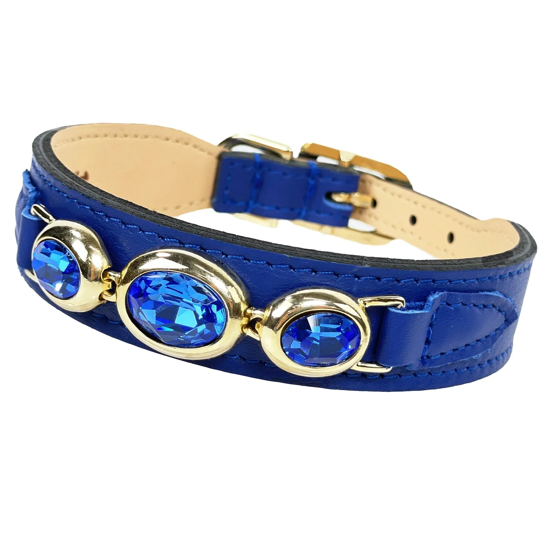 Regency Dog Collar in Cobalt Blue & Gold