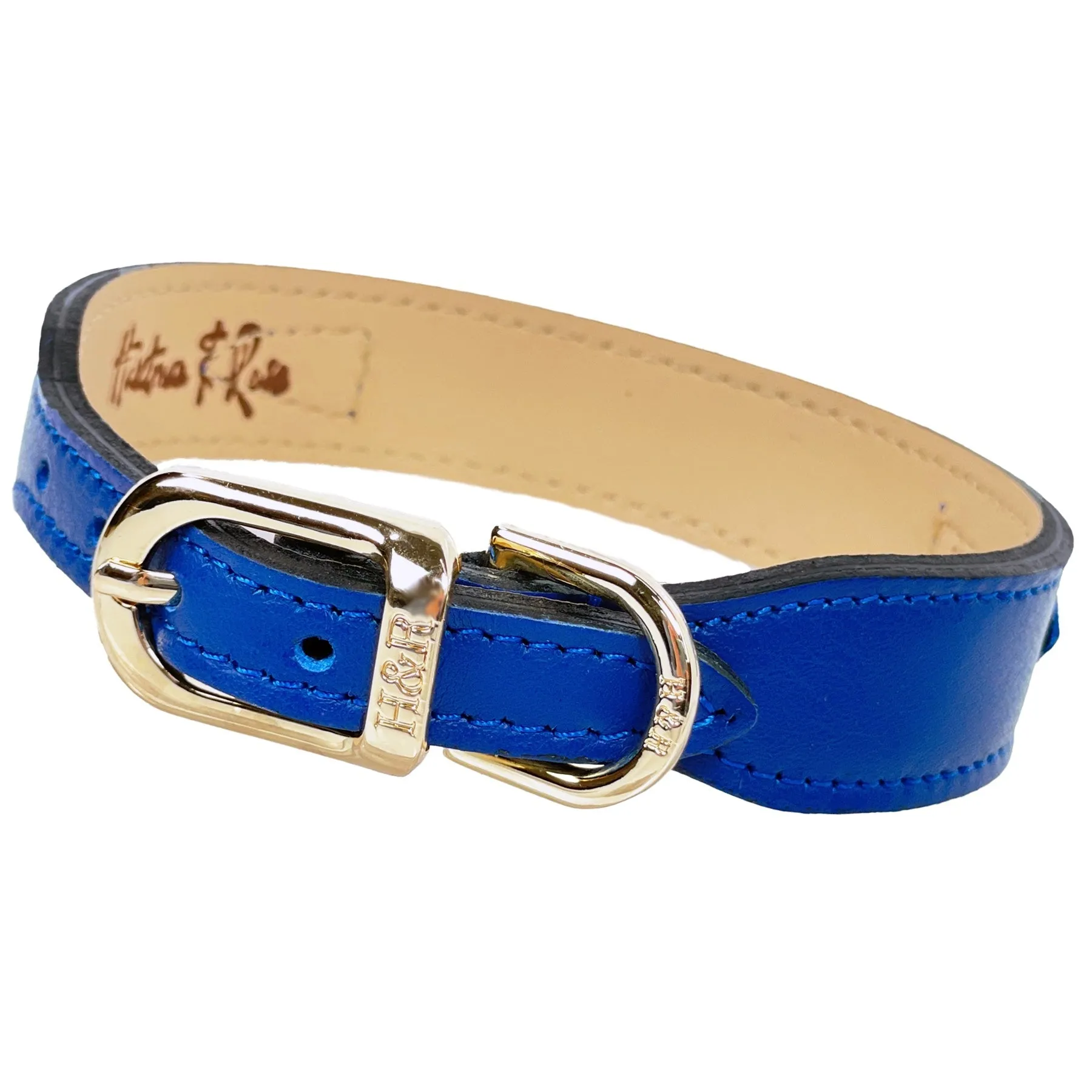 Regency Dog Collar in Cobalt Blue & Gold