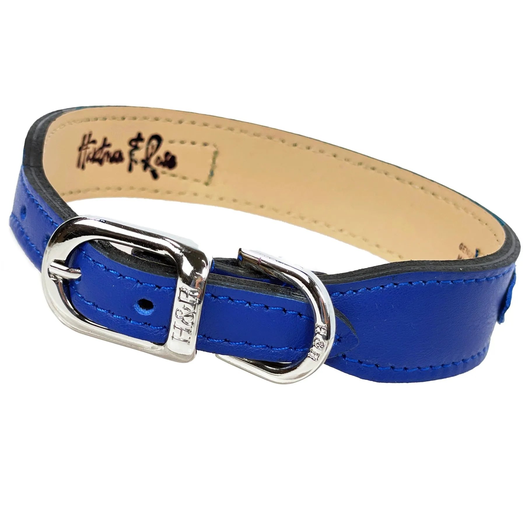 Regency Dog Collar in Cobalt Blue & Nickel