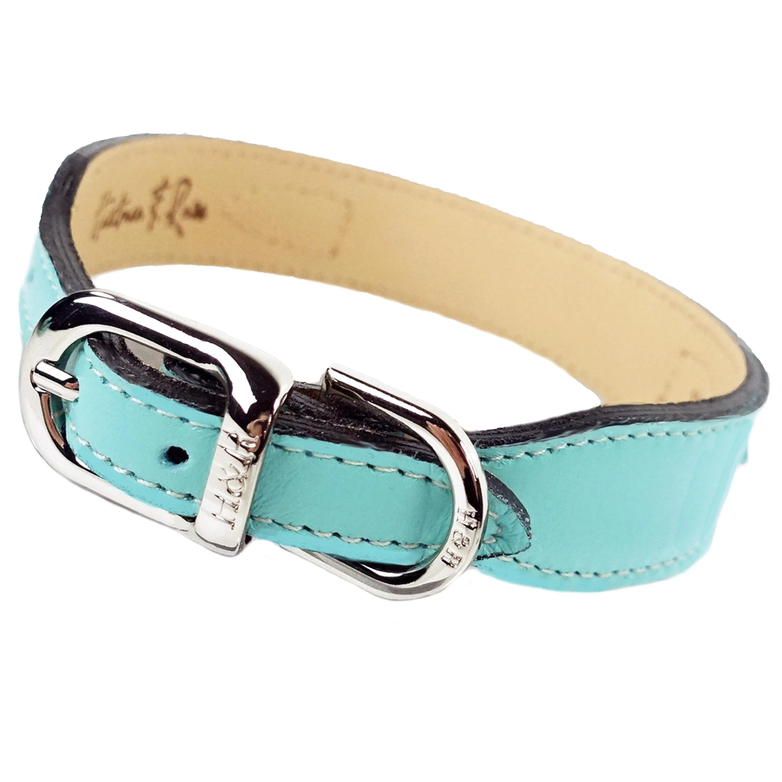Regency Dog Collar in Turquoise & Nickel