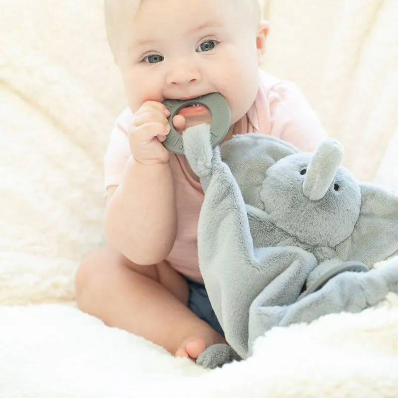 Teether Buddy