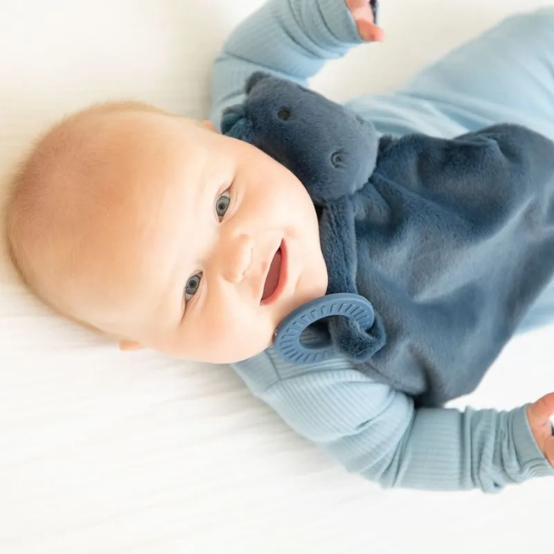 Teether Buddy